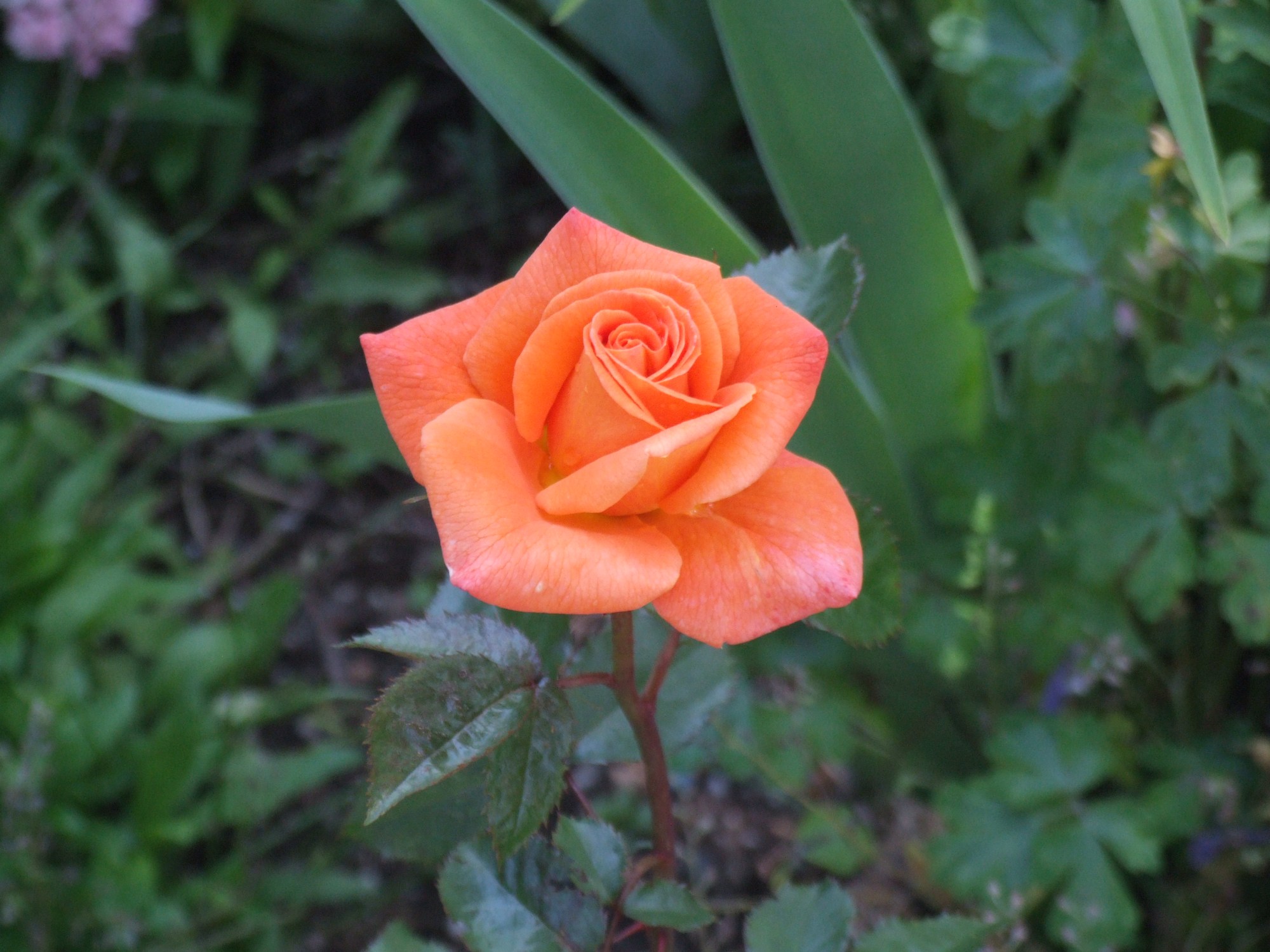 Challenging perception