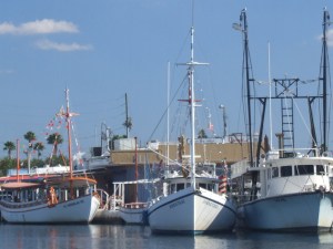 jpeg Protecting Our Waters