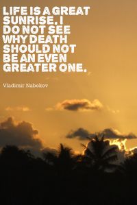 Vladimir Nabokov quote