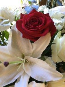 A red rose in the center of a white bouquet is a metaphor for our loved one surrounded by her family.
